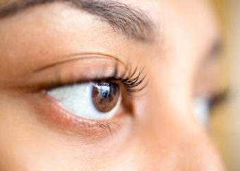 Les troubles neurovisuels chez l’adulte de SYLVIE CHOKRON