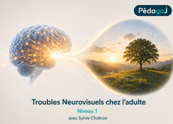 Les troubles neurovisuels chez l’adulte de SYLVIE CHOKRON (Description et programme à la suite du formulaire d’inscription)