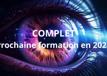 Les Troubles Neurovisuels chez l’enfant de Niveau 2 – novembre 2025