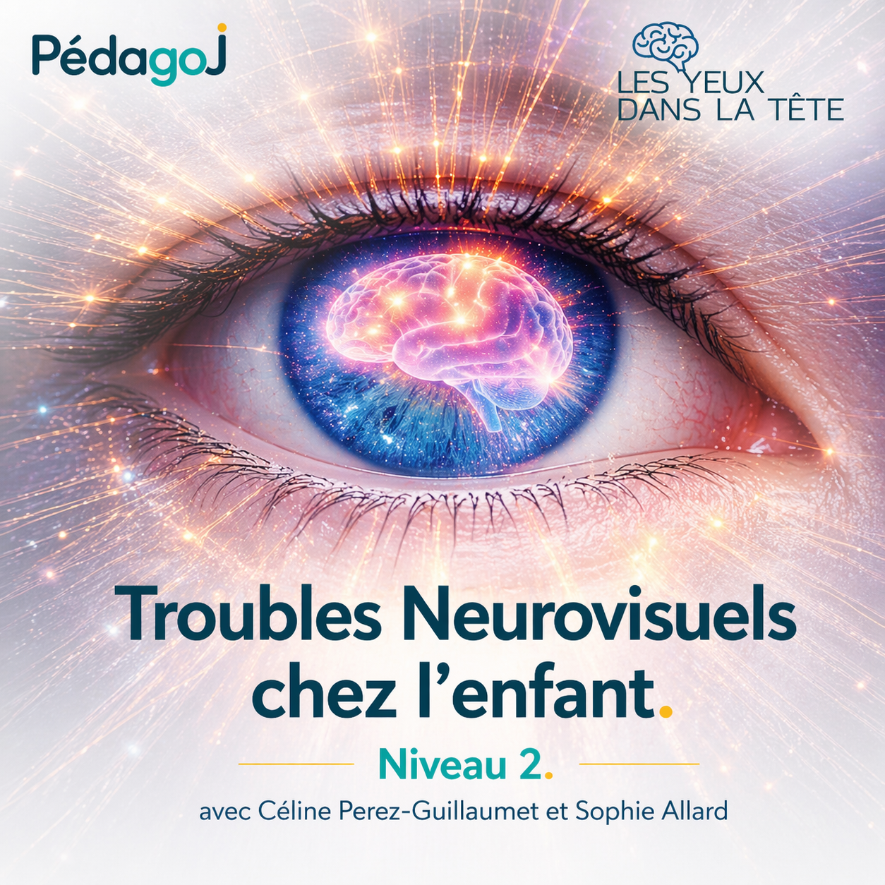 Les Troubles Neurovisuels chez l'enfant de Niveau 2 - Juin 2026 (Description et programme à la suite du formulaire d'inscription)