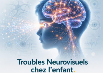 Les troubles neurovisuels chez l’enfant de Sylvie CHOKRON (Description et programme à la suite du formulaire)