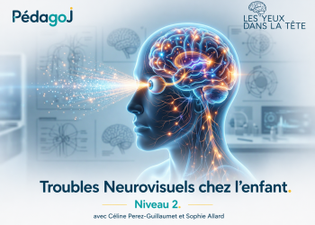 Les Troubles Neurovisuels chez l’enfant de Niveau 2 – Novembre 2026 (Description et programme à la suite du formulaire d’inscription)