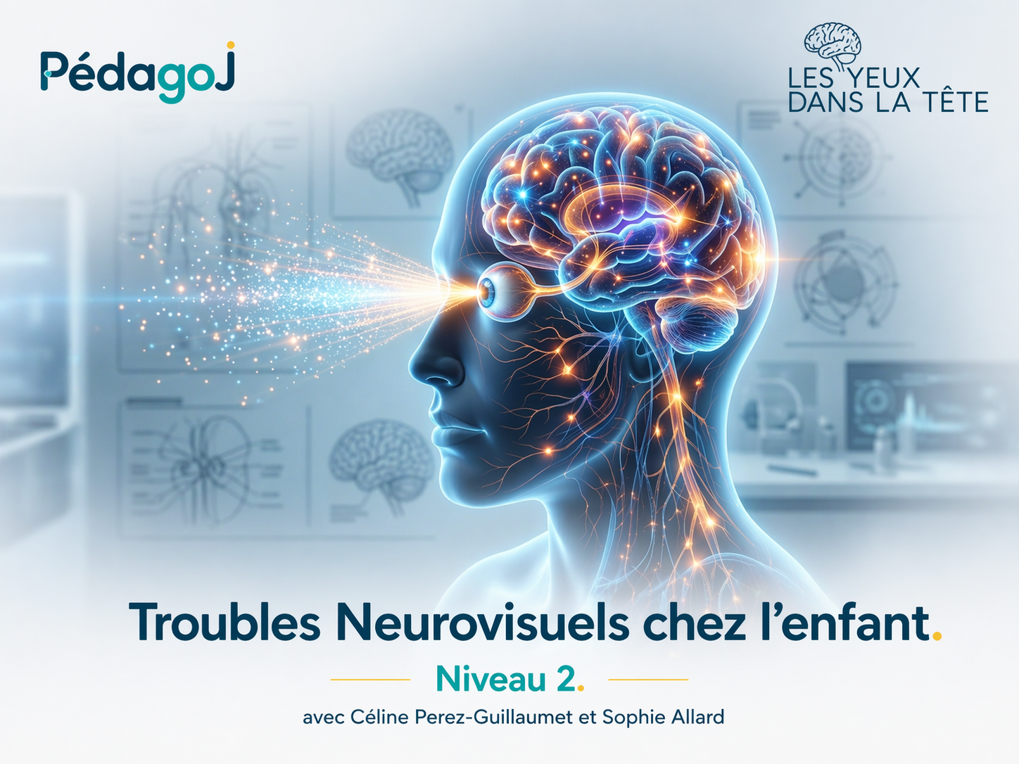Les Troubles Neurovisuels chez l'enfant de Niveau 2 - Novembre 2026 (Description et programme à la suite du formulaire d'inscription)