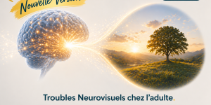 Les troubles neurovisuels chez l'adulte de SYLVIE CHOKRON - Niveau 1 - Nouvelle version