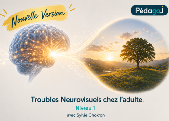 Les troubles neurovisuels chez l’adulte de SYLVIE CHOKRON – Niveau 1 – Nouvelle version
